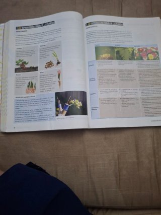 Proyecto: FanFest - Biología, Geología y Cienci...