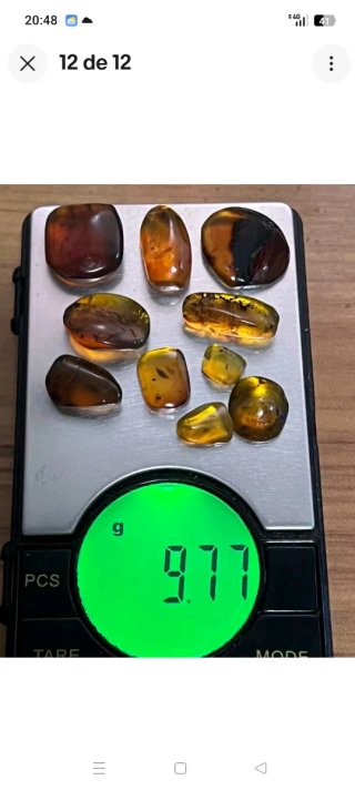 Fósil ámbar con inclusión. Lote 10 piezas.