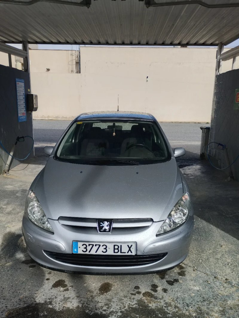 Peugeot 307 2001 - foto 1