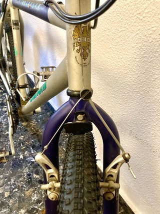 Bicicleta Bianchi Whistler