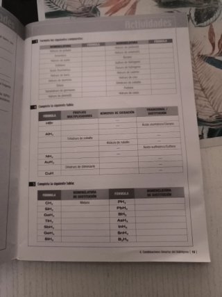 Libro de formulación y nomenclatura. Química inorg