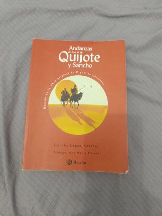 Andanzas de Don Quijote y Sancho