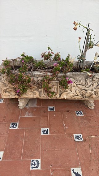 Jardinera de piedra con plantas
