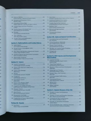Merritt's Neurology 12th Edition