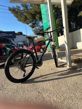 Bici Focus Black Forest