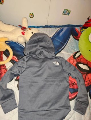 Felpa The North Face grigia con zip