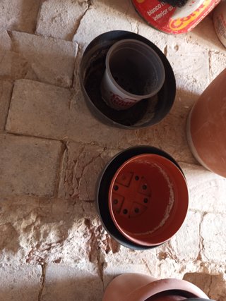 Macetas de terracota (+ regalo macetas pequeñas)