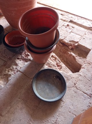 Macetas de terracota (+ regalo macetas pequeñas)