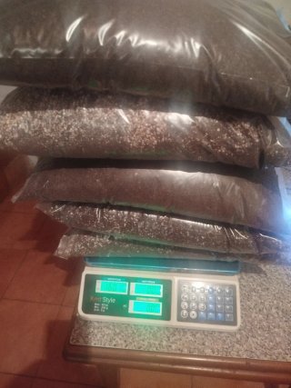 5 sacos mantillo cactus y suculentas
