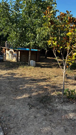 Huerta en Pamplona