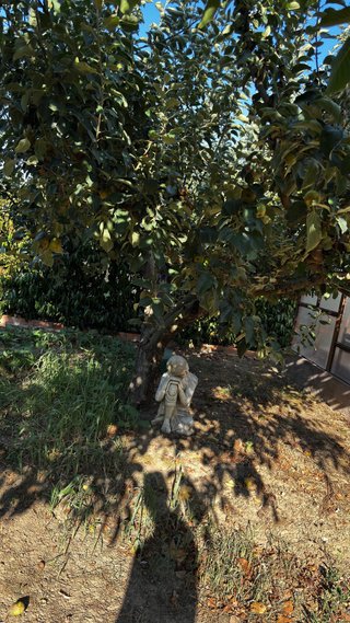 Huerta en Pamplona