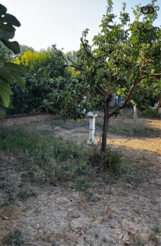 Huerta en Pamplona
