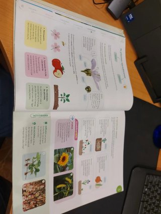 CIENCIAS DA NATUREZA 5 PRIMARIA CONSTRUINDO MUNDOS