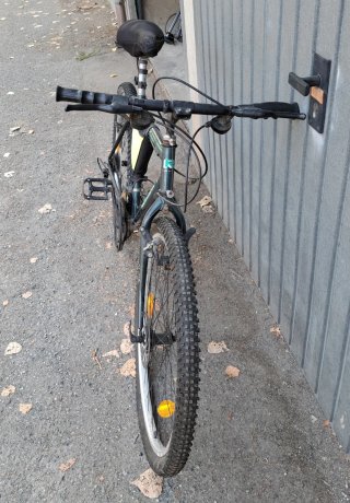 Bicicletta MTB Rollman 320