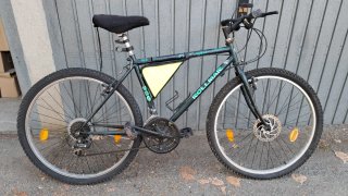 Bicicletta MTB Rollman 320