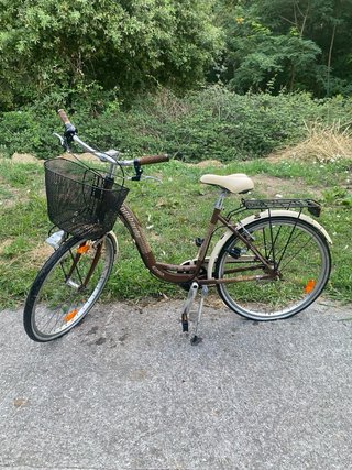 Bicicleta Paseo Aluminio