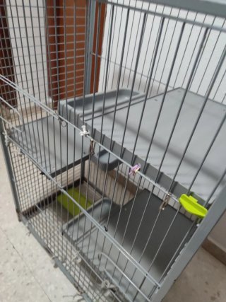 Jaula Voltregra Animales Grande