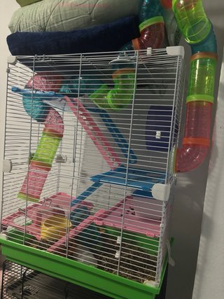 Jaula para hámster con accesorios