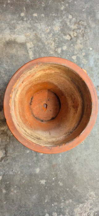 Vaso terracotta Ø48x H35 cm + sottovaso
