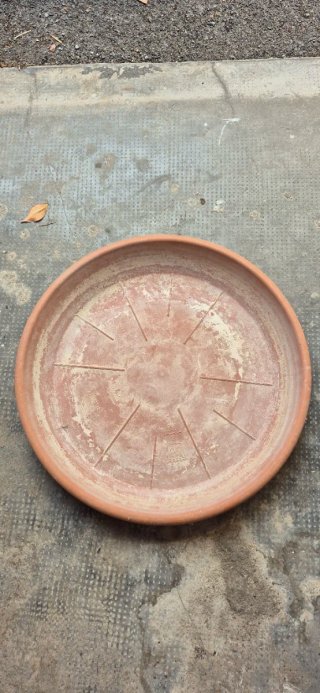 Vaso terracotta Ø48x H35 cm + sottovaso