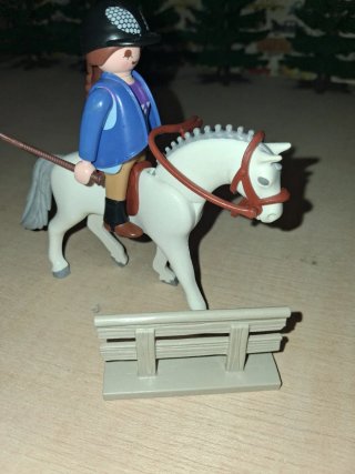 Amazona con caballo y valla