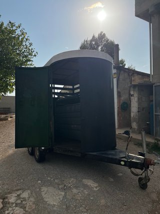 Remolque 2 caballos