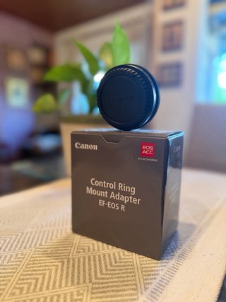 Canon EOS R50 Cámara Mirrorless