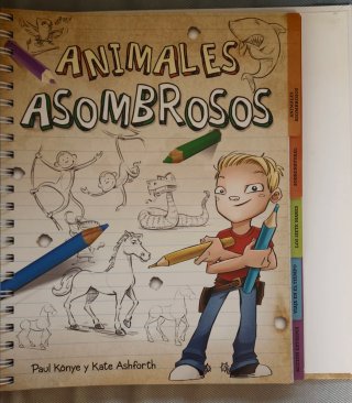 DIBUJO:501 Consejos para tus primeros dibujos.