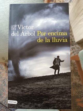 Por encima de la lluvia