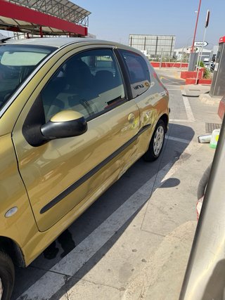 Peugeot 206 2004