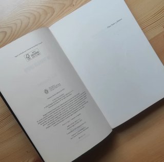 Un trabajo limpio (Novela negra)