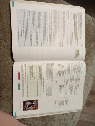 Libro lengua castellana y literatura 1 Bachillerat