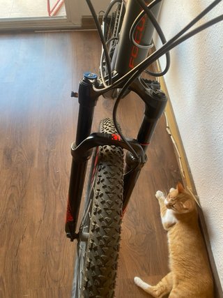Focus Black Forest Lite 29 2018