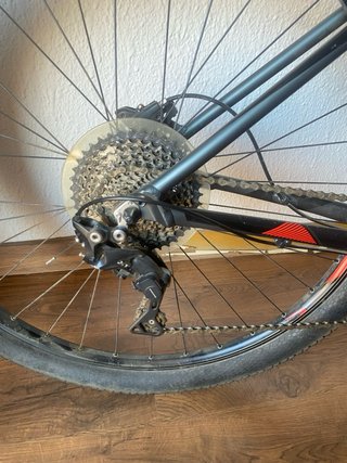 Focus Black Forest Lite 29 2018