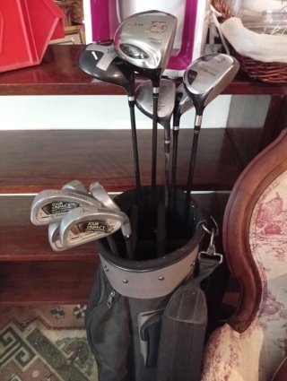 Bolsa de golf con 12 palos