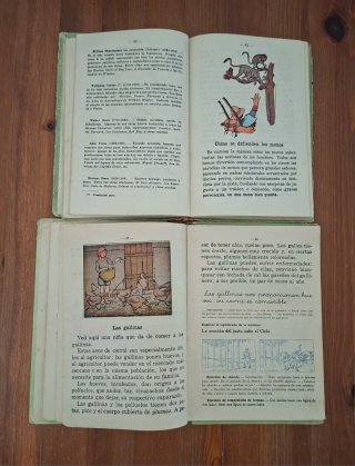 Lote 2 libros escolares Siglo XX