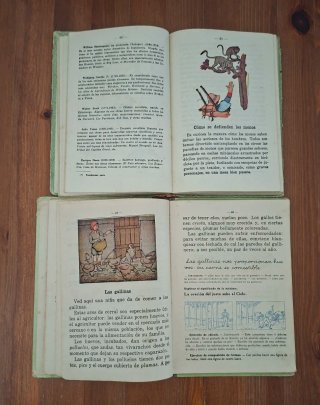 Lote 2 libros escolares Siglo XX