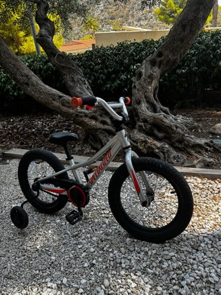 Bicicleta infantil Specialized