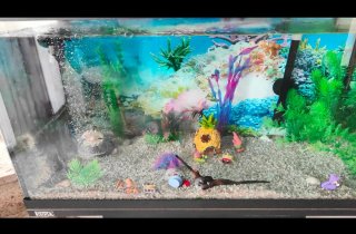 Acuario Tetra 100L con mueble, filtro fluval 207