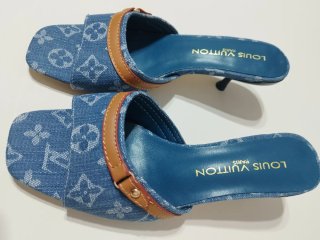 Zapatos Louis Vuitton Marrón Azul