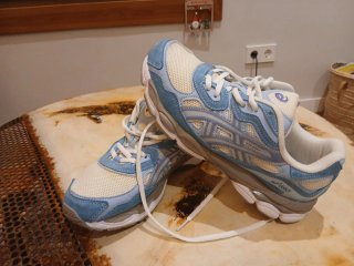 Asics Gel Nimbus 42 Zapatillas Deportivas