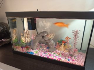 Acuario 15L con filtro y accesorios Bob Esponja