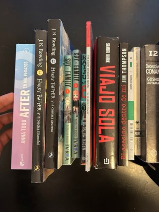 Lote de 12 Libros Variados: Harry Potter, Manga