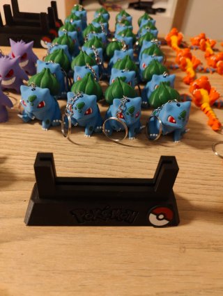 Lote llaveros Pokémon y porta cartas