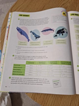 Matemáticas 6, Tercer Ciclo Primaria, Edelvives...