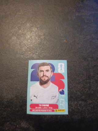 Cromo Tim Payne Mundial 2026 Panini