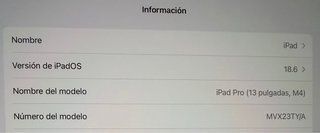 iPad Pro (M4) 256GB