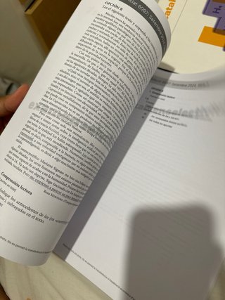 Temario Selectividad Lengua Castellana 2025-2026