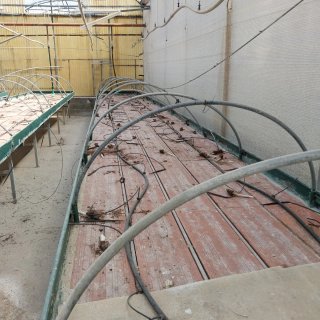 Invernadero está en venta mi contacto 722480790