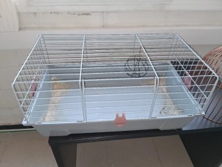 Jaula para cobaya gris y blanca